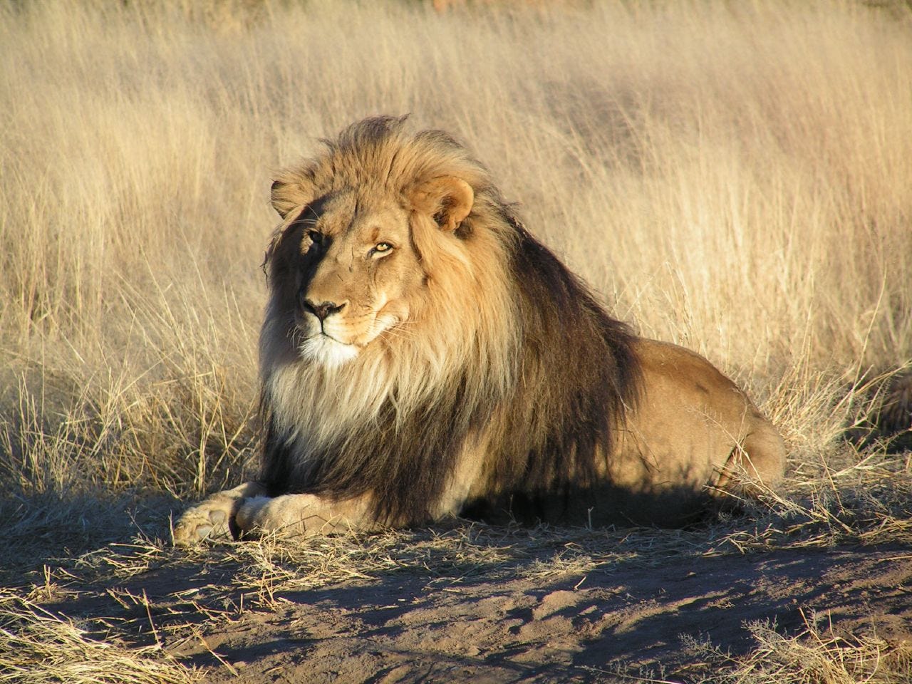 Tugela Travel and Tours