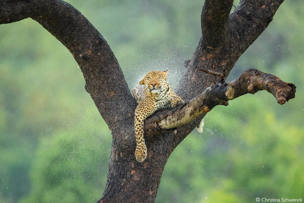 Tugela Travel and Tours