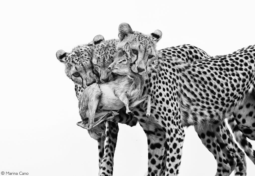 Tugela Travel and Tours