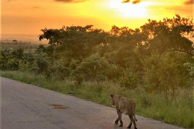 Tugela Travel and Tours