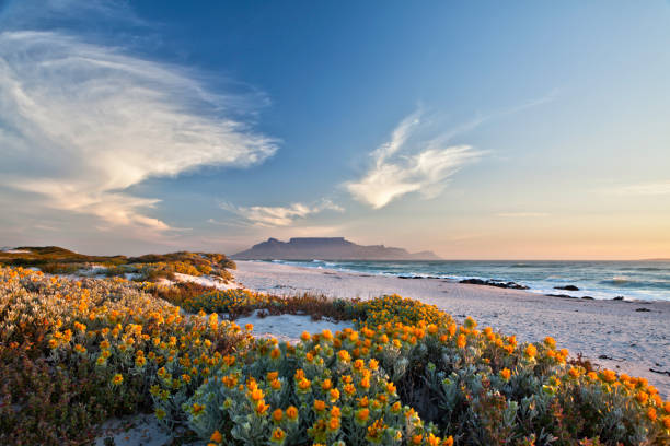 Tugela Travel and Tours