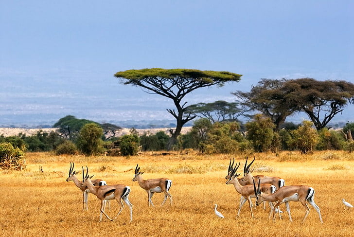 Tugela Travel and Tours