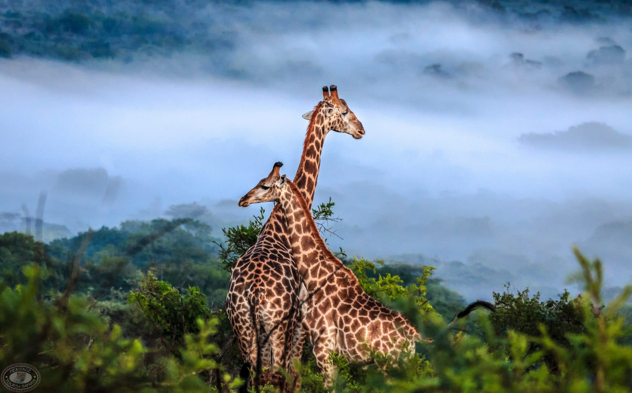 Tugela Travel and Tours